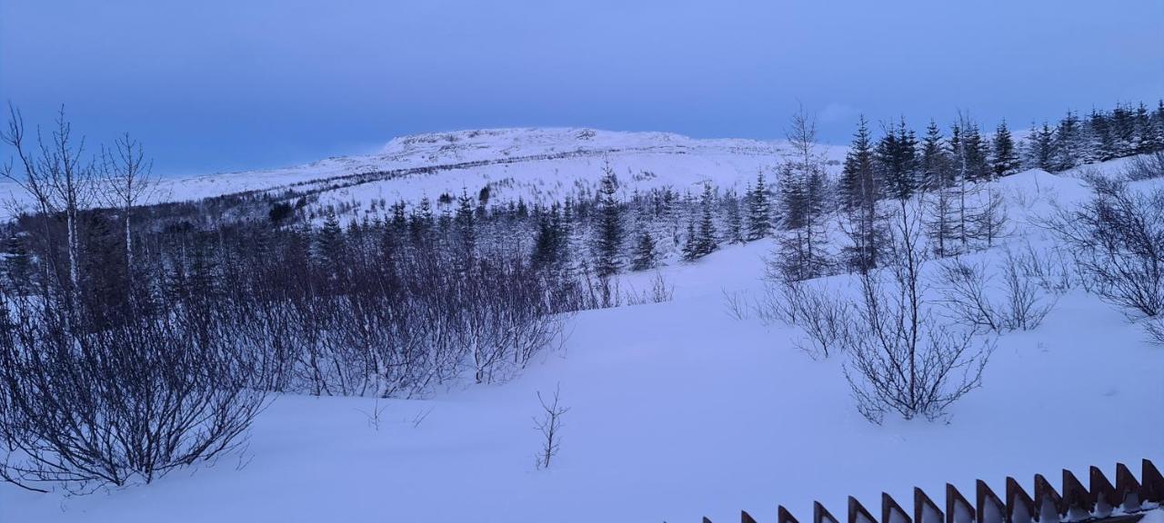 Gljufurbustathir Holiday Homes هافيراجيردي المظهر الخارجي الصورة