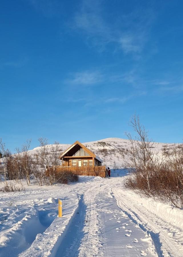 Gljufurbustathir Holiday Homes هافيراجيردي المظهر الخارجي الصورة