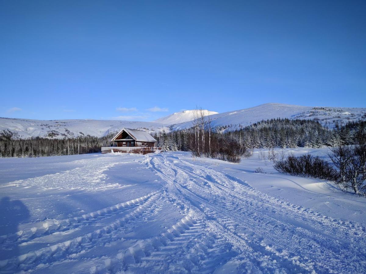 Gljufurbustathir Holiday Homes هافيراجيردي المظهر الخارجي الصورة
